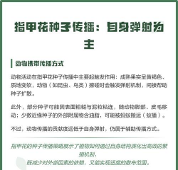 家庭养花用生根粉