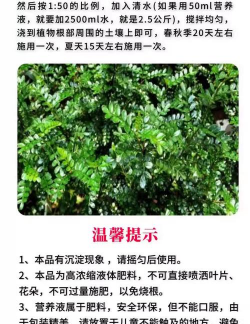 家庭养花用生根粉