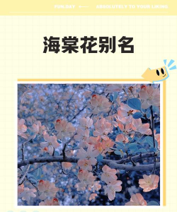 海棠花还有什么别名吗
