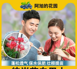 家庭养花用生根粉