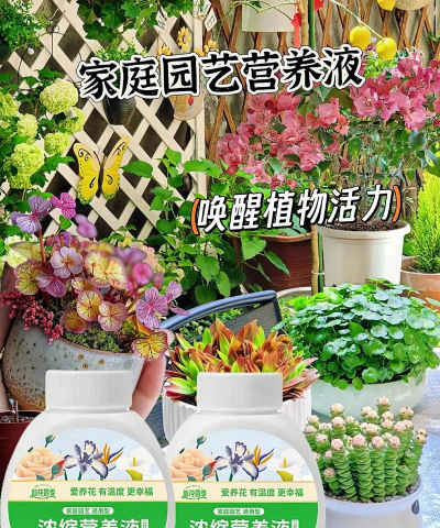 家庭养花用生根粉