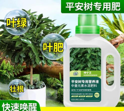 家庭养花用生根粉