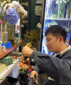 家庭养花用生根粉