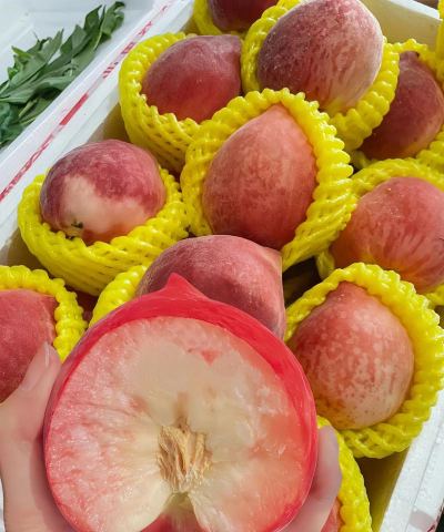 春雪桃子变软怎么办