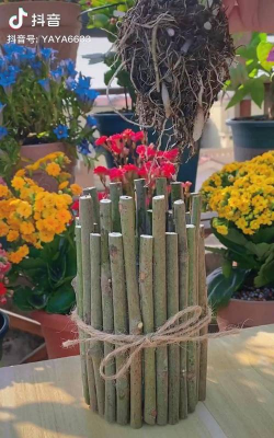 家庭养花用生根粉