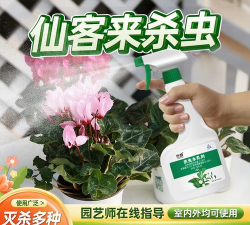 家庭养花用生根粉