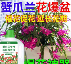 家庭养花用生根粉