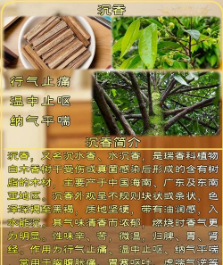 沉香花果如何泡水喝