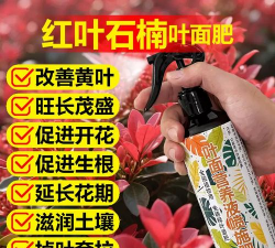 家庭养花用生根粉