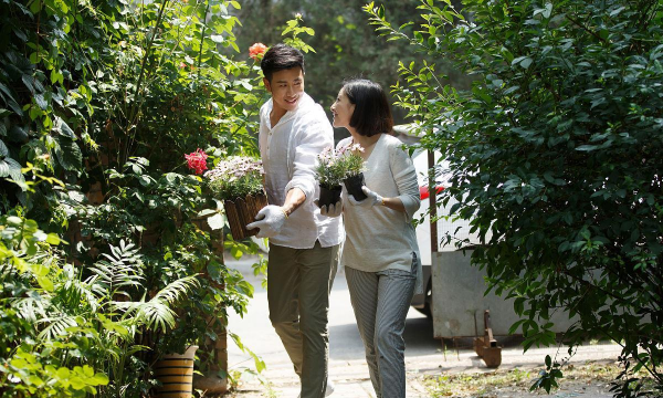 家庭养花用生根粉