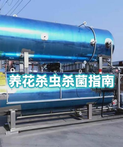 家庭养花用生根粉