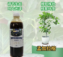 家庭养花用生根粉