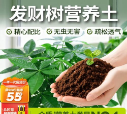 家庭养花用生根粉