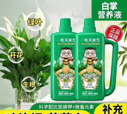 家庭养花用生根粉