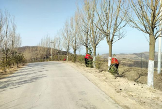 行道树全年养护要点 行道树全年养护要点