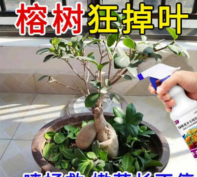 家庭养花用生根粉