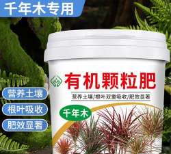 家庭养花用生根粉