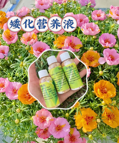 家庭养花用生根粉