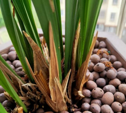 绿化景观设计，提升环境品质，创造宜人空间