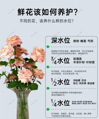 柿树虫病防治，识别常见虫害，掌握有效方法