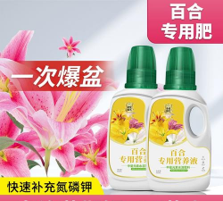 家庭养花用生根粉