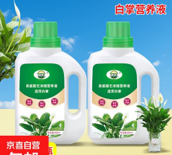 家庭养花用生根粉