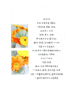 家庭养花用生根粉