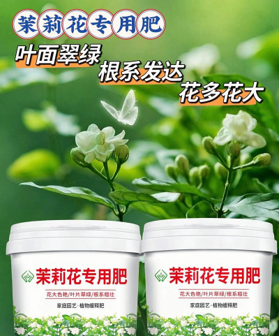 茉莉花叶黄用什么肥