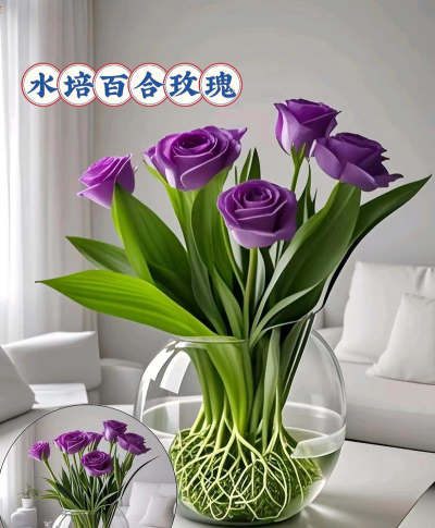 家庭养花用生根粉