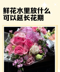 家庭养花用生根粉