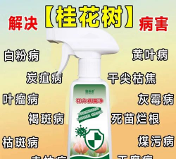 家庭养花用生根粉