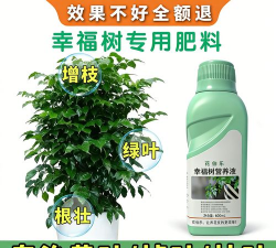 家庭养花用生根粉