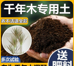 三色木用什么土