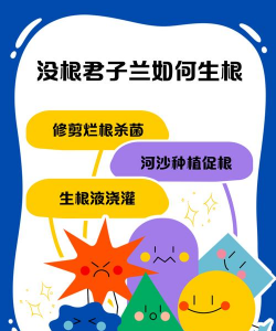 家庭养花用生根粉