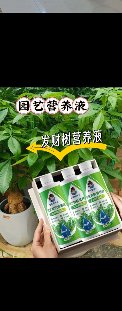 家庭养花用生根粉