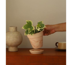 吉利花叶邹怎么办