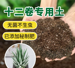 家庭养花用生根粉