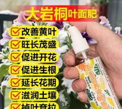 家庭养花用生根粉