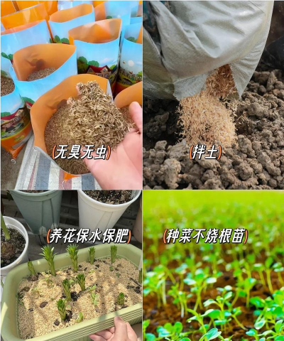 家庭养花用生根粉