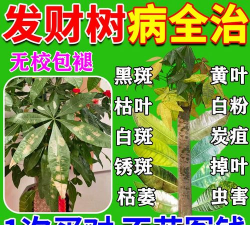 家庭养花用生根粉