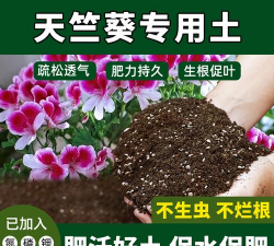 家庭养花用生根粉