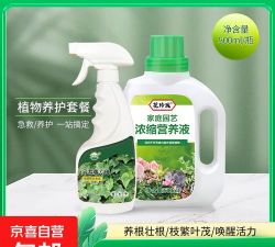 家庭养花用生根粉