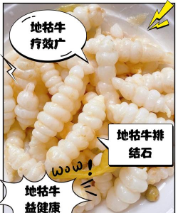 地轱牛植物怎么吃