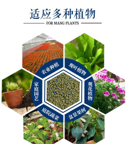 家庭养花用生根粉