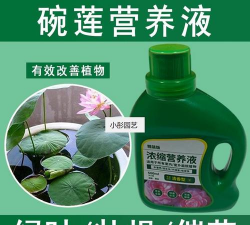 家庭养花用生根粉