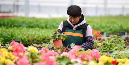园艺养花工