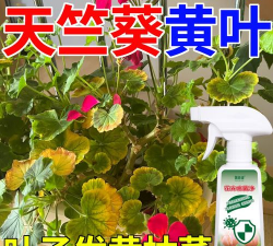 家庭养花用生根粉