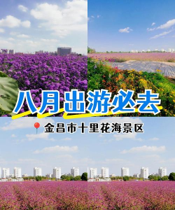 金昌薰衣草基地怎么走