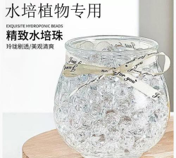 芍药花怎么养，掌握关键要点，花开更鲜艳