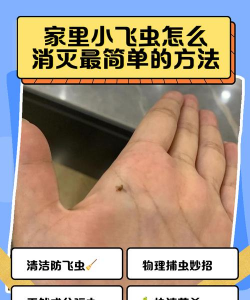 葡萄栽培，掌握关键技术，实现优质丰产